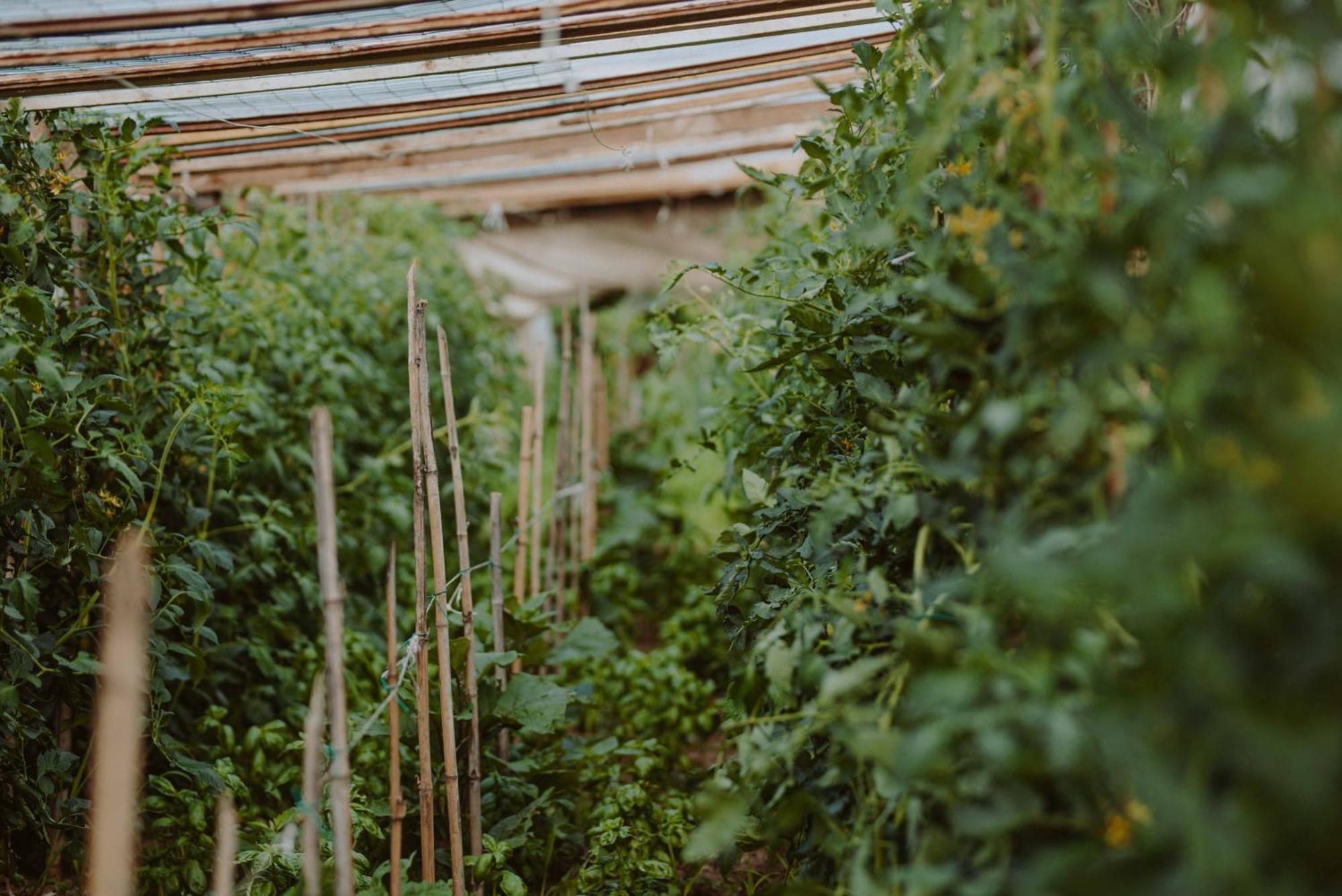 Farm stay Pratello