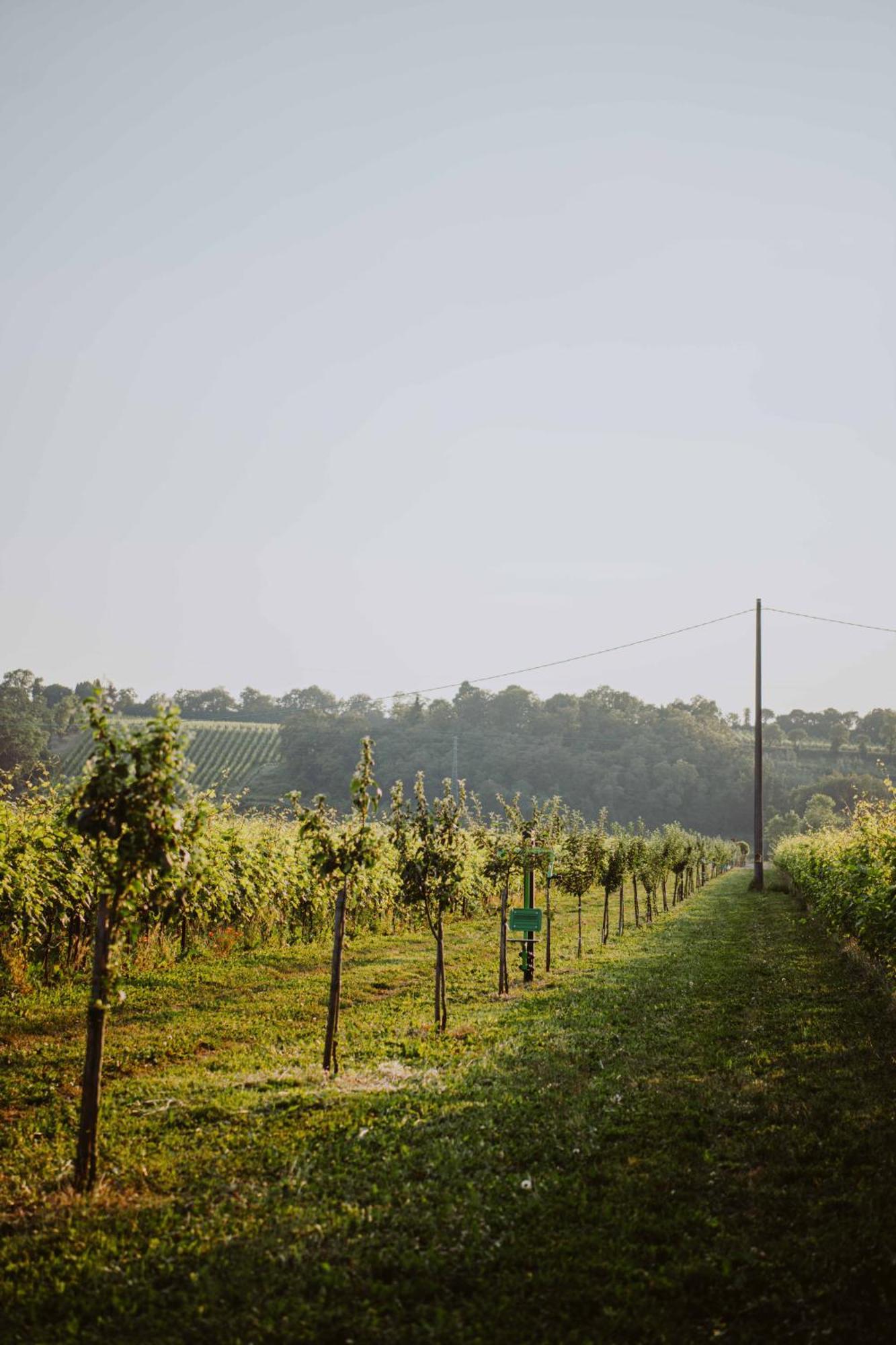 Pratello Farm stay